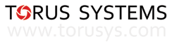 Home torusys.com